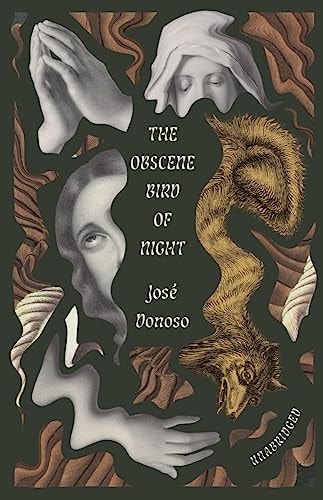 Cover of The Obscene Bird of Night